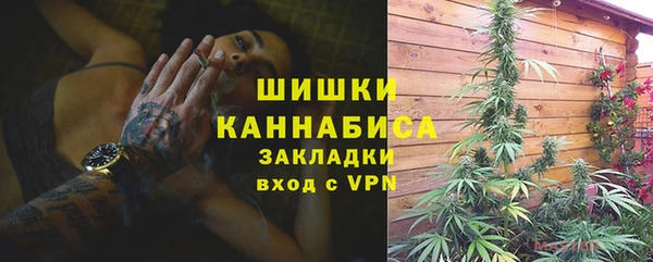 ECSTASY Богородицк